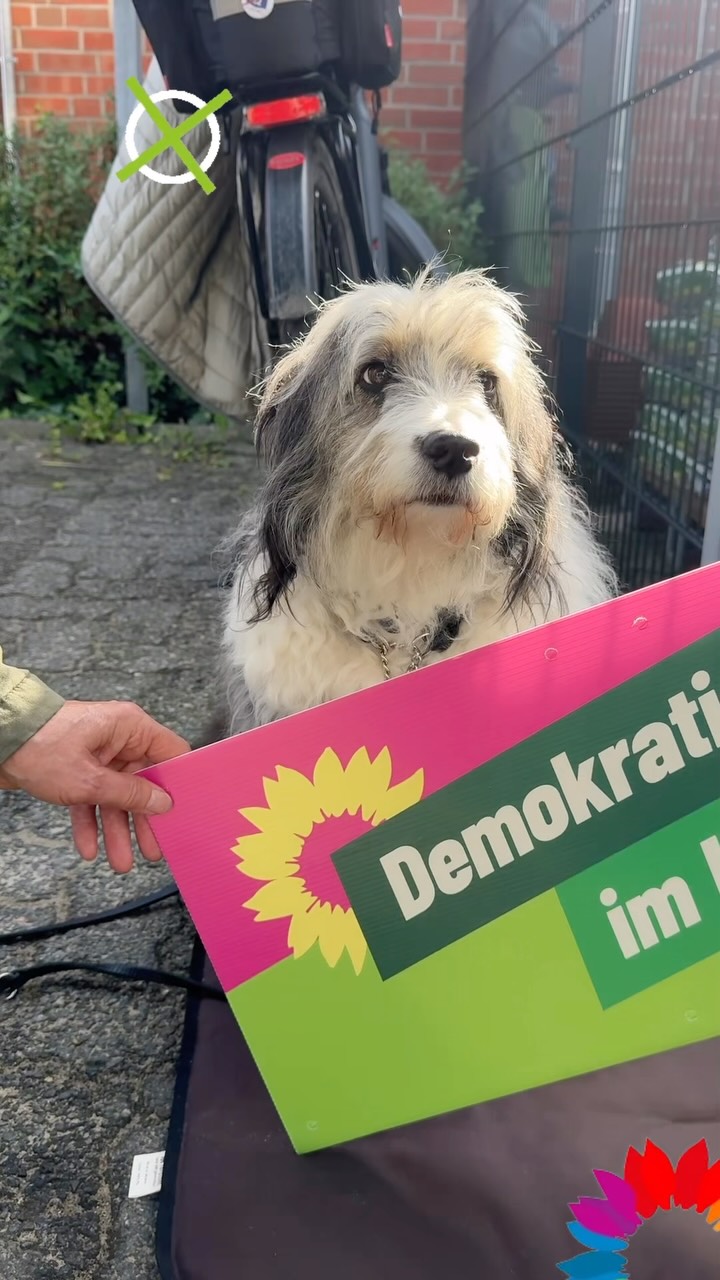 #demokratieimherzen #gruenebeverstedt #wählengehen und gerne teilen 🌻💚